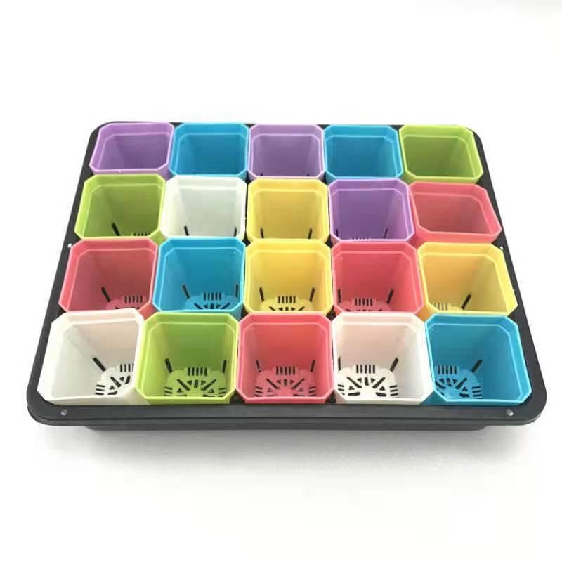 Gardening Seed Boxes Holder Plant Growing Trays Rack Seedling Vegetables Nursery Tray Shelf