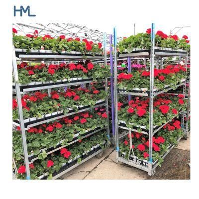 Greenhouse Gardening Flower Transportation Trolley Danish Cart for Nursery Use