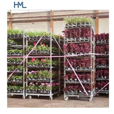Customized Horticultural Danish Flower Transport Outdoor Plant Containers for Sale
