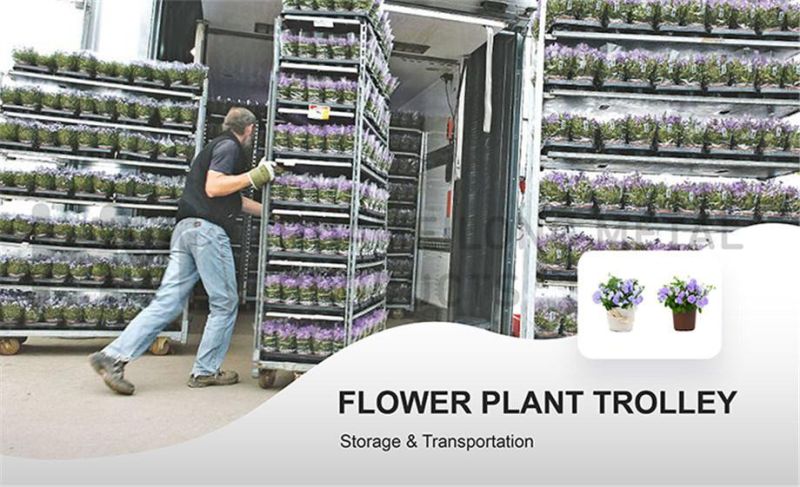 Steel Transport Nursery Flower Plant Rack Trolley Carts with Wheels
