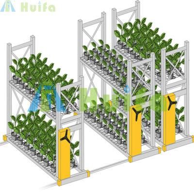 Hydroponic Growing System Mobile Storage System Nursery Flower Two Tier 4X8FT Grow Rack Vertical Farming