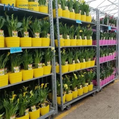 Greenhouse Vertical Plant Nursery Flower Rack/ Racking Trolley