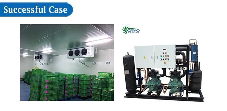 Air Cooled Chiller Refrigeration Machine Refrigeration System Tube Compressor Rack for Cold Storage