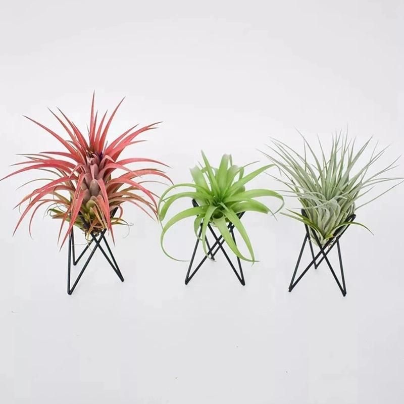 Creative Black Iron Air Pineapple Base Plant Flower Pot Rack Holder Home Balcony Garden Decor Supplies Landscape Accessories