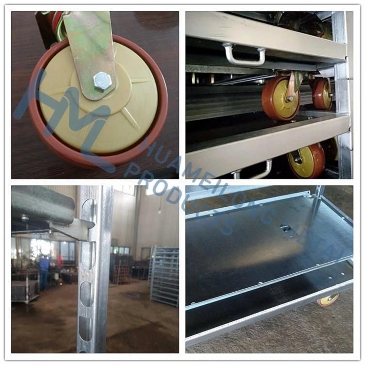 Plants Storage Greenhouse Transport Nursery Steel Flower Racks