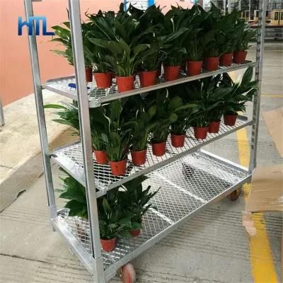 Support Customization Metal Transport Plant Display Nursery Rack Trolley