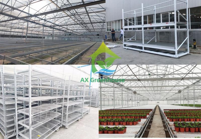 Multi-Layer Plant Growth Seedling Racks Seedbed Shelf