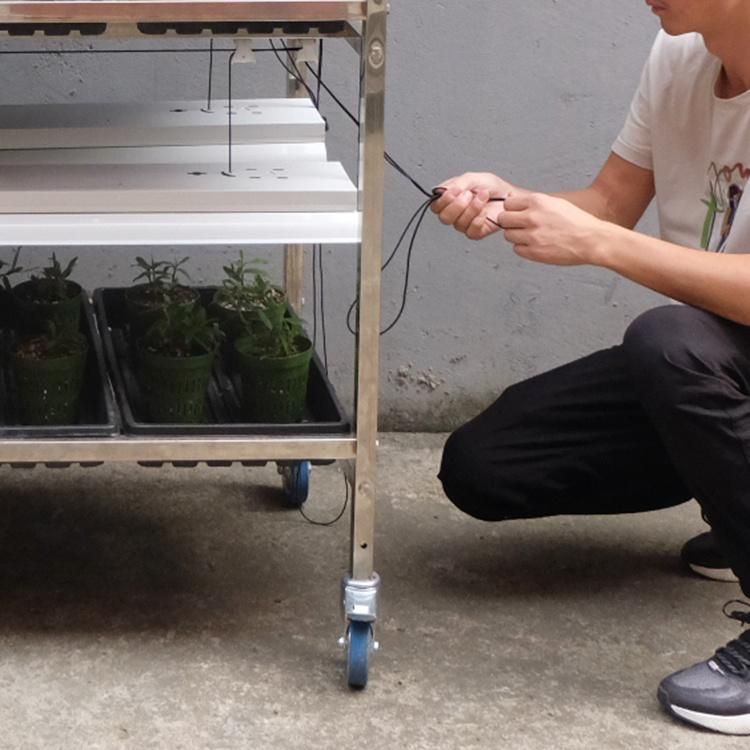 Adjustable Shelves Nursery Flower Transport Danish Metal Rolling Plant Rack