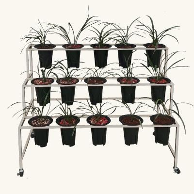 Orchid Rack Iron Plastic Orchid Basin Special Support White Flower Rack Floor-Type Orchid Flower Pot Rack with 4 -10 Holes