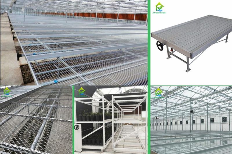 Multi-Layer Plant Growth Seedling Racks Seedbed Shelf