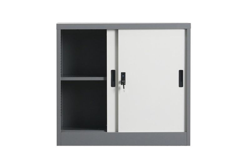 2 Sliding Door Steel Storage File Cabinets Vertical Metal Bookshelf Fireproof Filing Cabinet Luoyang Office Furniture Equipment