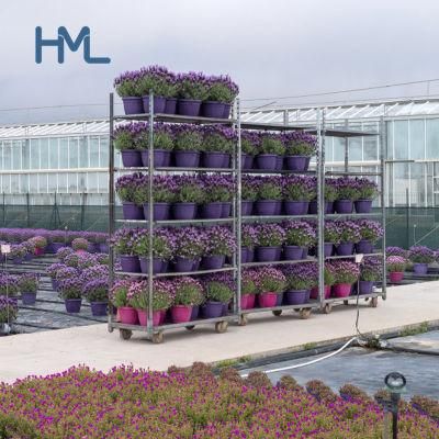 Customized Hot Sale Danish Plant Greenhouse Display Flower Nursing Trolley