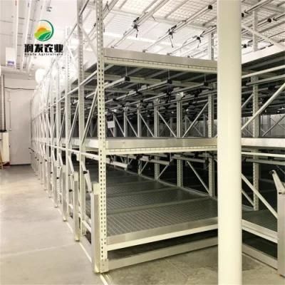 Ebb Tray and Table Vertical Hydroponic Multilayer Grow Racking Systems Shelves Rack