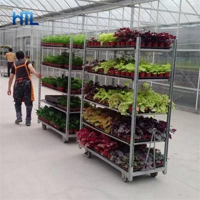 Galvanized Horticultural Greenhouse Transport Auction Danish Flower Trolley