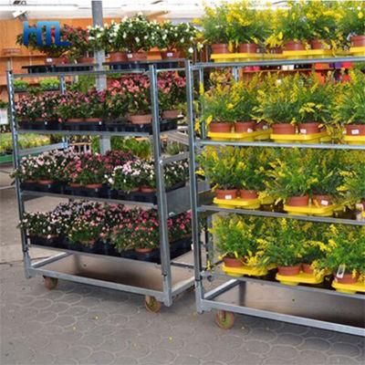 Multiple Shelves Danish Greenhouse Flower and Plant Display Trolley Carts