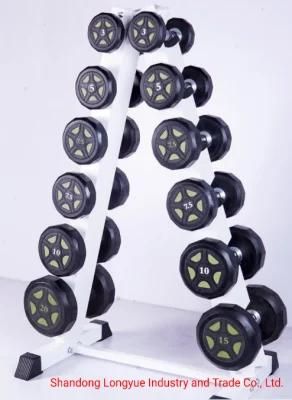 Commercial Wholesale Fitness Training Gym Fixed Dumbbell Rack, Storage Rack on Hot Sale