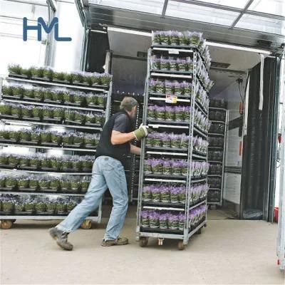 Danish Multi Shelf Transport Galvanized Garden Center Nursery Metal Flower Rack